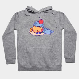 Raccoons on a flan Hoodie